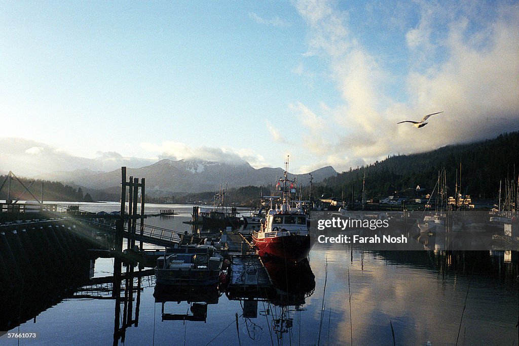 The Race To Save The Haida Language