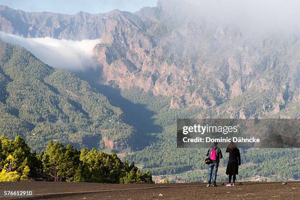 view of "caldera de taburiente" national park - caldera stock pictures, royalty-free photos & images