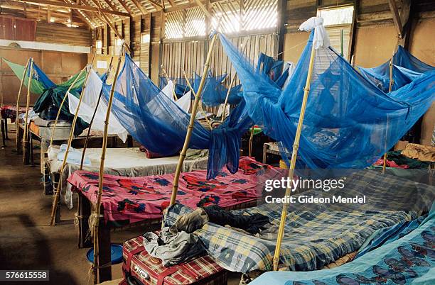dormitory at rondo junior seminary with mosquito nets for every bed - malaria parasite stock pictures, royalty-free photos & images