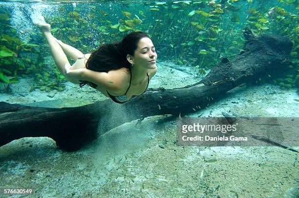 a beautiful woman diving in clear water - diving to the ground stock pictures, royalty-free photos & images