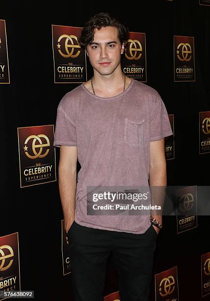 Actor Ryan McCartan attends the Celebrity Experience Q&A panel at The Universal Hilton Hotel on July 16, 2016 in Los Angeles, California.