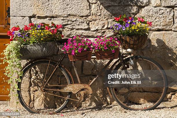 old bicycle with flowers - bicycle flowers stockfoto's en -beelden