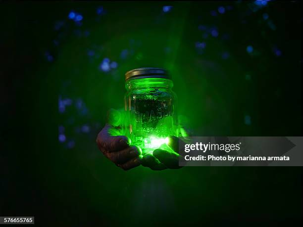 fireflies - firefly stock pictures, royalty-free photos & images