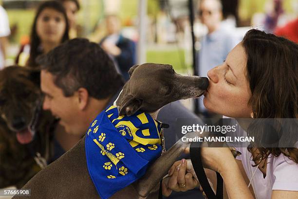 Bethesda, UNITED STATES: Susan Freed and her two-and-a-half-year-old Italian greyhound Romeo kiss during a dog kissing contest 20 May in Bethesda,...