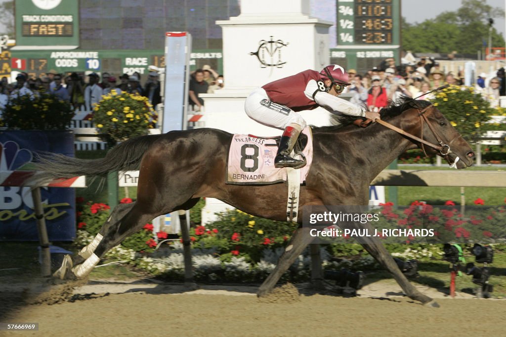 Bernardini with jockey Javier Castellano