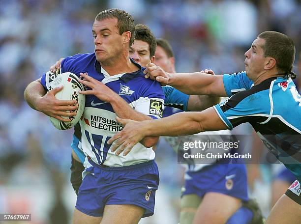 Daniel Sutherland Rugby 766 Daniel Sutherland Stock Photos, High-Res Pictures, and Images ...