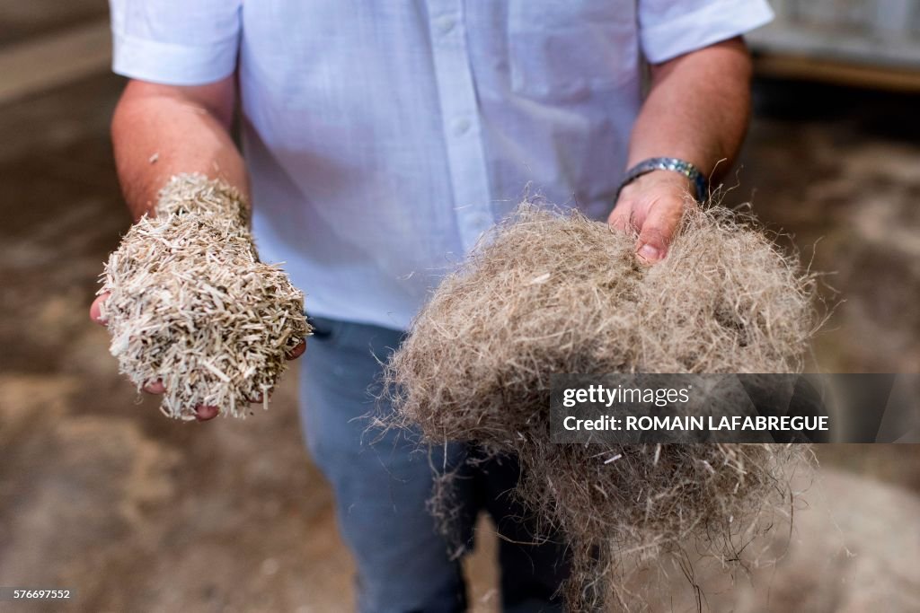 FRANCE-AGRICULTURE-INDUSTRY