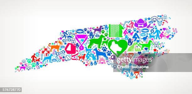 north carolina dog and canine pet colorful icon pattern - pets stock illustrations stock illustrations