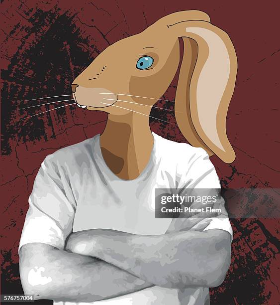 Rapid T Rabbit Photos and Premium High Res Pictures - Getty Images