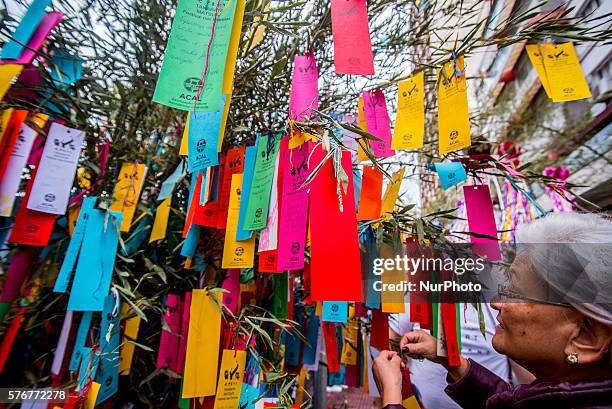 July 16 and 17th was a day of gala ceremonies and parties staged by children in São Paulo, Brazil, in the neighborhood of freedom in observance of...