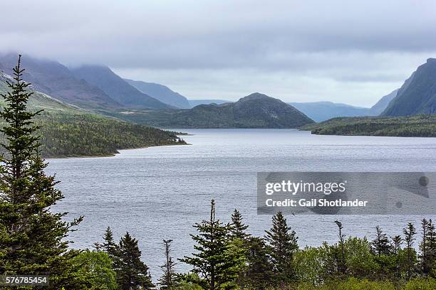 Newfoundland Color Rivers 30 Trout River Newfoundland And Labrador Stock Photos, High-Res ...