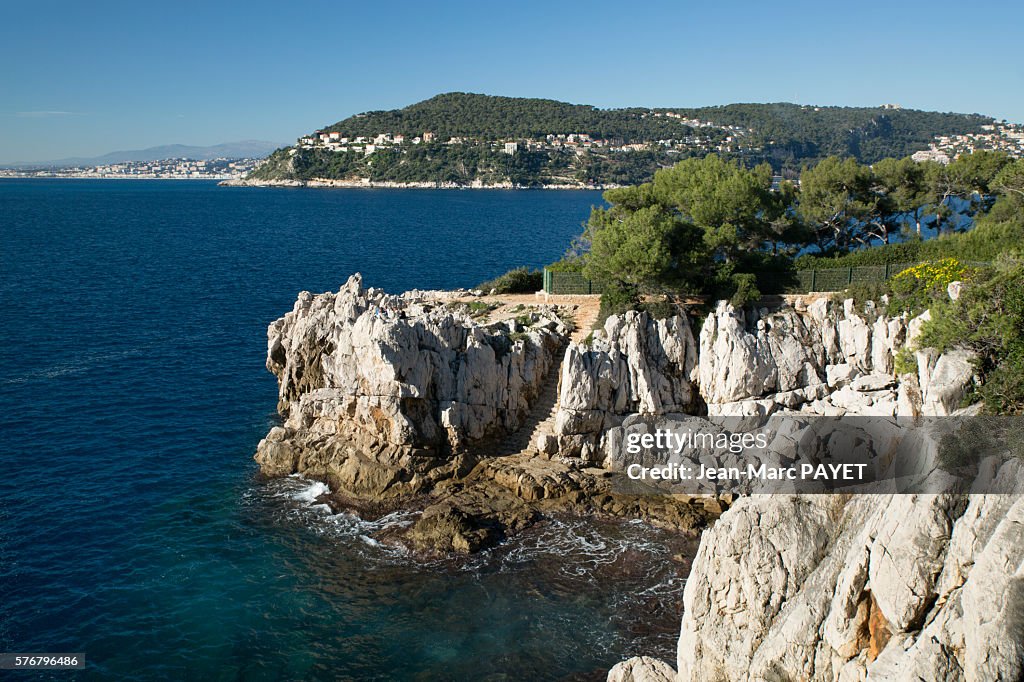 Blue sea and Provençal coast