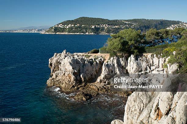 blue sea and provençal coast - jean marc payet stockfoto's en -beelden