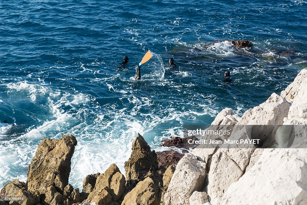 Diver in the wave