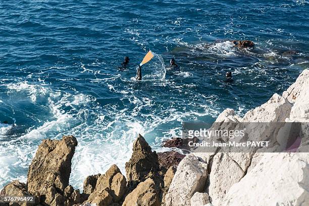 diver in the wave - jean marc payet foto e immagini stock