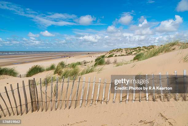 fence on the dunes at formby point, merseyside - beach fence stock-fotos und bilder