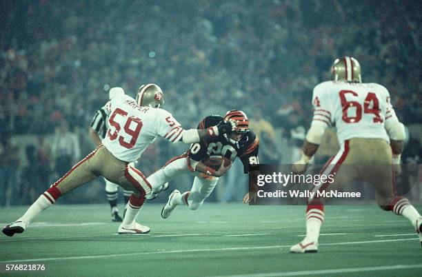 Cincinnati Bengals wide receiver Cris Collinsworth dives with the football as San Francisco 49ers linebackers Willie Harper and Jack Reynolds prepare...