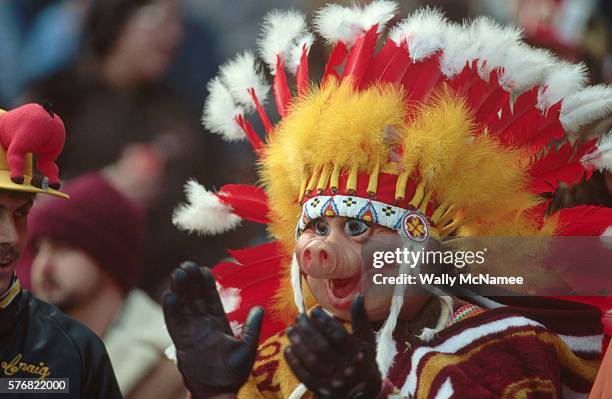 Washington Redskins Fan