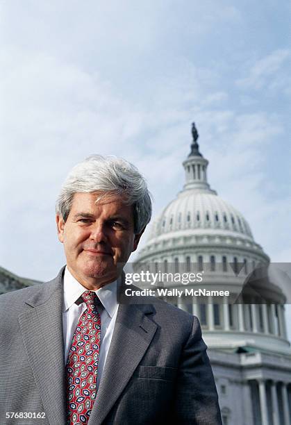 House Speaker Newt Gingrich speaks to the press about term limits at the U.S. Capitol.