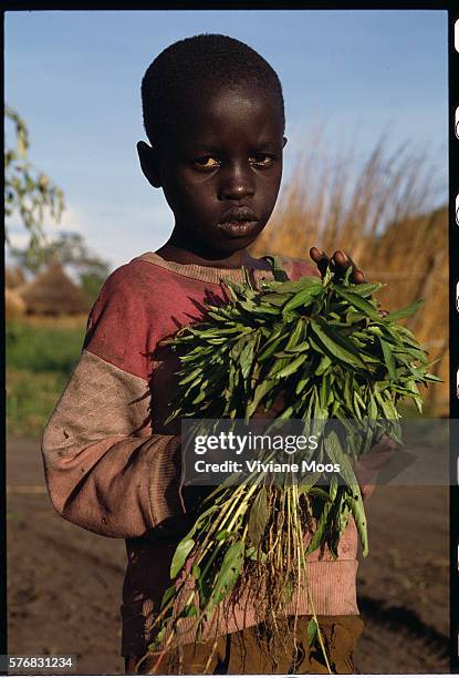 Young orphan in Nimule, Sudan, collects wild grasses for his dinner. Civil war and widespread famine have ravaged Sudan for decades, resulting in...