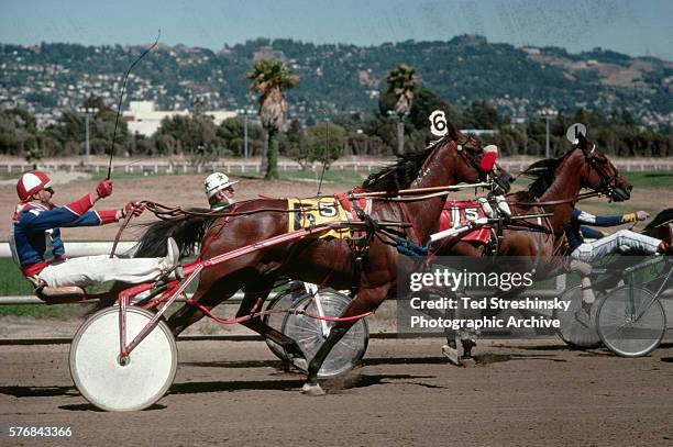 Harness racing at Golden Gate Fields in northern California.