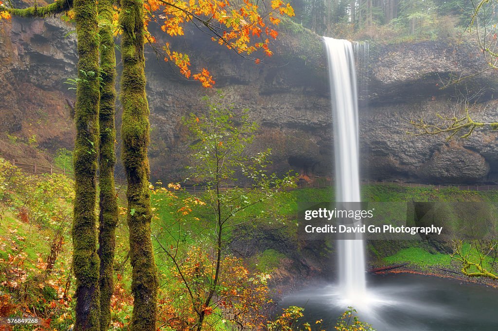 South Falls in Autumn
