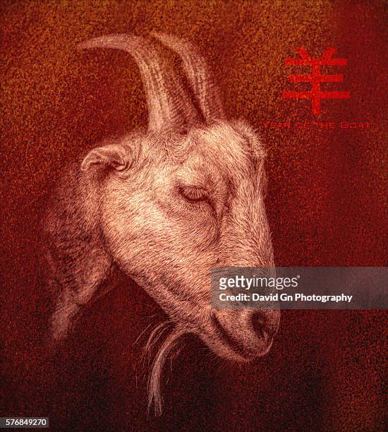 chinese new year goat portrait - ram animal stock illustrations