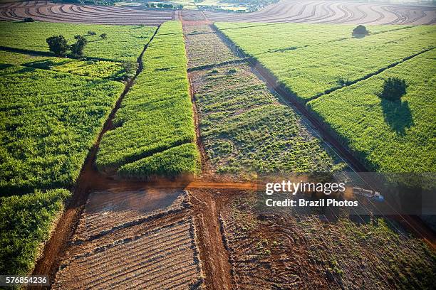 Aerial view of plowed land for sugarcane plantation near Ribeirao Preto, the world greatest productive pole of ethanol and sugar, Sao Paulo State,...