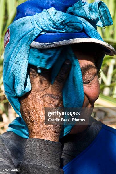Portrait of tired elderly sugarcane cutter, many women and aged people work in this exhausting job in Brazil. Ester ethanol and sugar plant,...