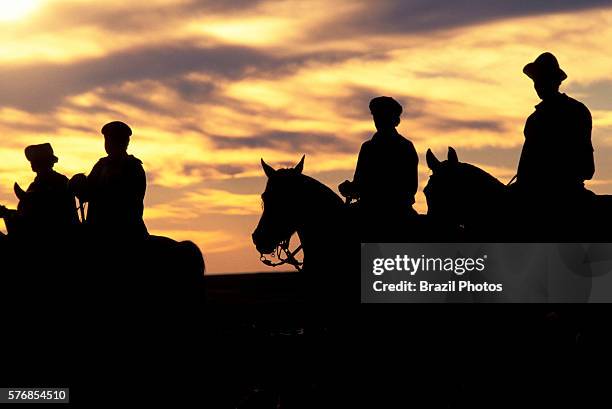 Gauchos on horses in Uruguay, country people experienced in traditional cattle ranching work - the gaucho is an equivalent of the North American...