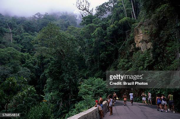 People walk at Estrada das Paineiras in The Tijuca Forest , a mountainous hand-planted rainforest in the city of Rio de Janeiro, Brazil - it is an...