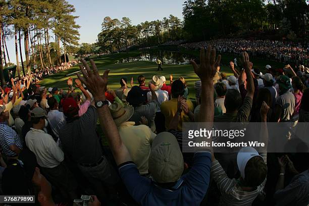 The gallery celebrates after a hole-in-one by Trevor Immelman at No. 16 - Redbud 2005 Masters Tournament Final round.