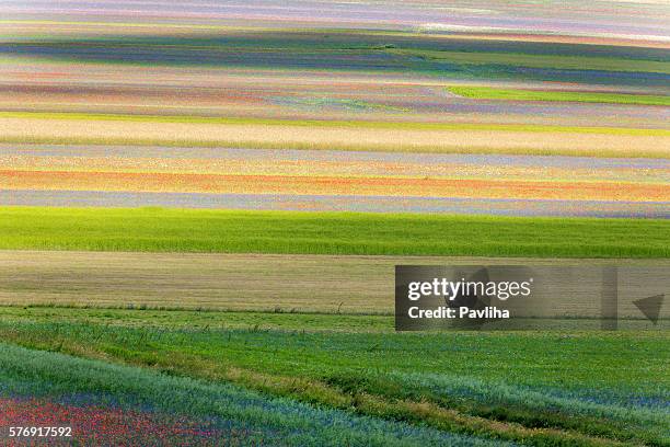 castelluccio di norcia (italy), village on a green hill - castelluccio stock pictures, royalty-free photos & images