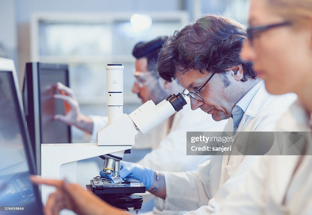 Scientists Working in the Laboratory