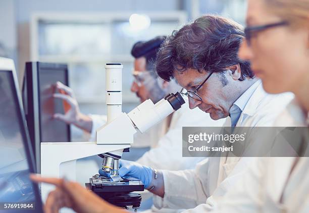 scientists working in the laboratory - clinical laboratory stock pictures, royalty-free photos & images