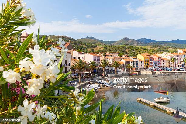 collioure, united kingdom - languedoc rousillon stock pictures, royalty-free photos & images