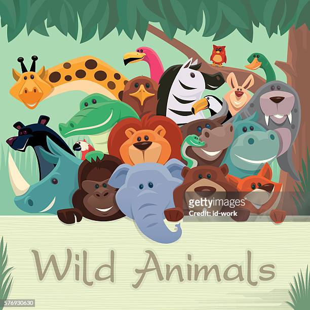 group of wild animals gathering - animals in the wild stock illustrations