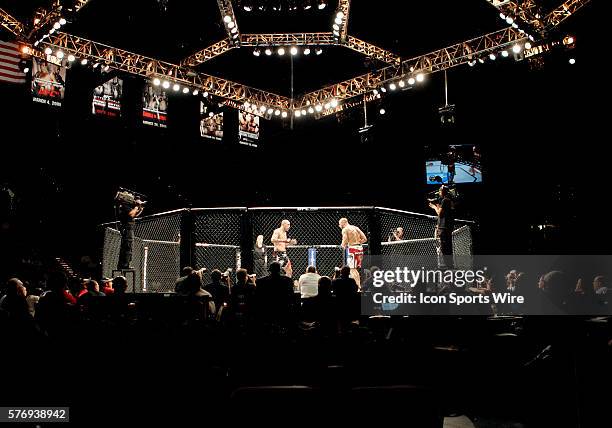 General look at the Octagon during the UFC 137 at the Mandalay Bay Arena in Las Vegas, Nevada.