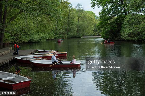 tiergarten, berlin - tiergarten stockfoto's en -beelden