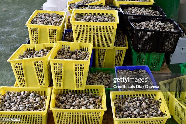 Clam Shell Mailbox 74 Clam Shell Box Stock Photos, High-Res Pictures, and Images - Getty ...