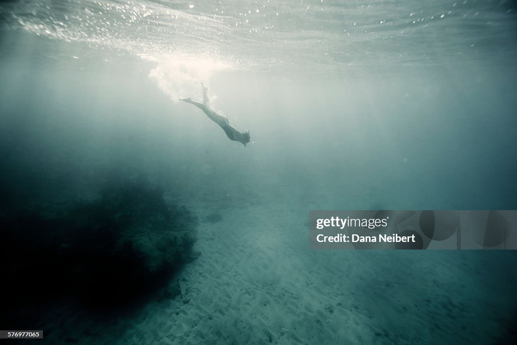 A swimmer snorkels in the ocean