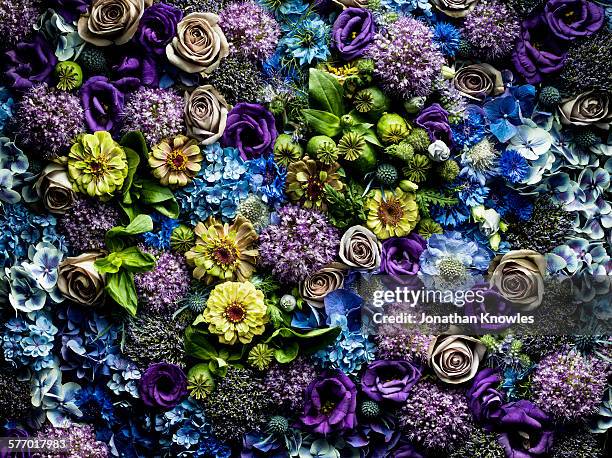 full frame flowers arrangement - flowers full frame stock pictures, royalty-free photos & images