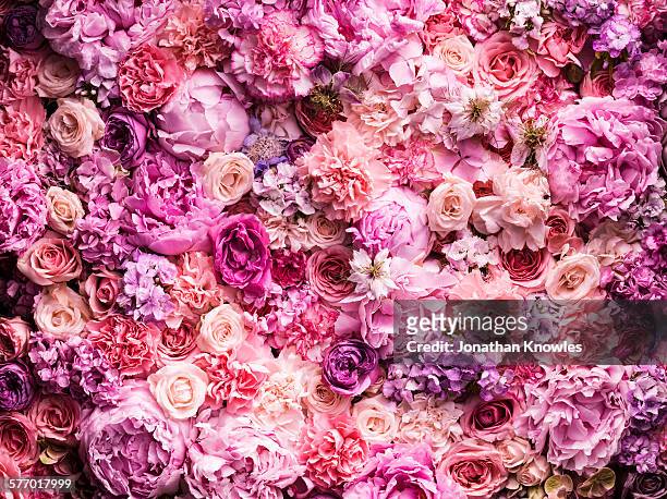 various cut flowers, detail - rosa stock-fotos und bilder