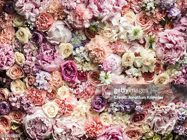 various cut flowers - girly wallpapers stockfoto's en -beelden