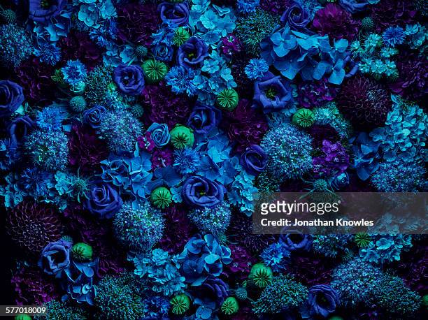 atmospheric floral arrangement, close up - blue flowers stock pictures, royalty-free photos & images