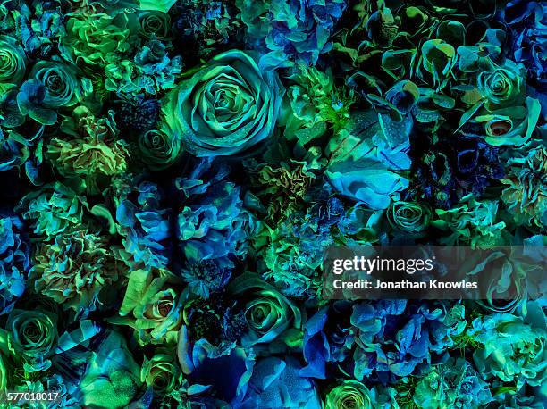 vibrant floral arrangement, full frame - green which rose foto e immagini stock