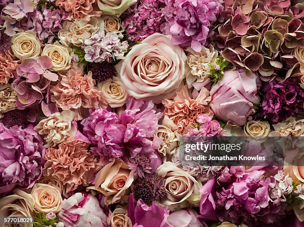 fresh cut flowers, detail - floral arrangement stock-fotos und bilder