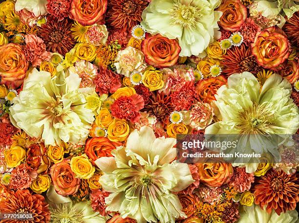 bright flower arrangement, full frame - orange flower stock pictures, royalty-free photos & images