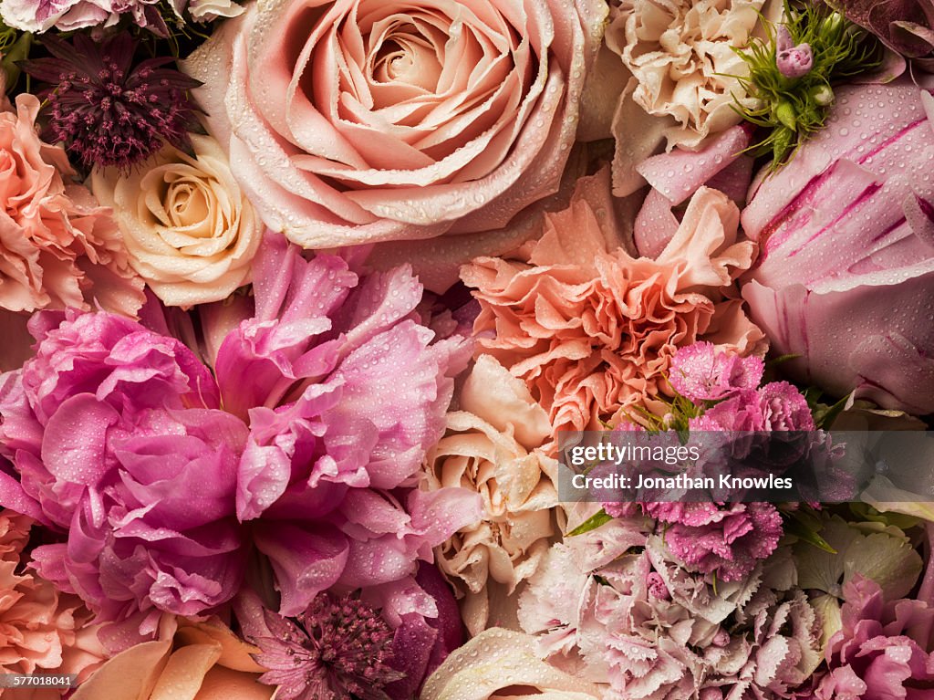 Full frame floral arrangement with dew