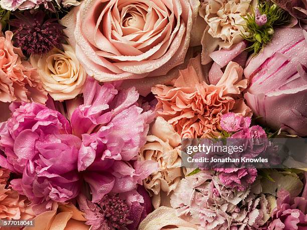 full frame floral arrangement with dew - pink stockfoto's en -beelden